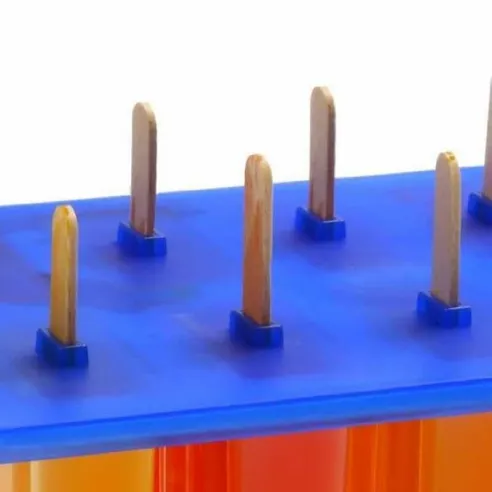 Molde de Paletas de Helado NORPRO 423