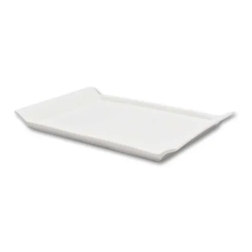 Plato Rectangular de Porcelana para Sushi 10 Pulgadas Blanco ARNI S5823