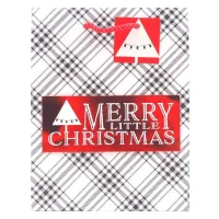 Bolsa para Regalos SIN ASIGNAR CHGBA3-34 2