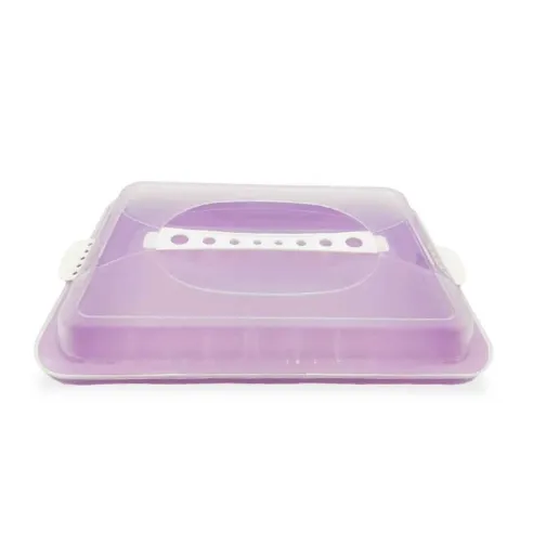 Bandeja Plastica Rectangular con Tapa de 12 x 9 x 3 Pulgadas TIPS E-158