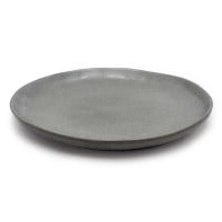 Plato Coupe Leon Redondo de 10 Pulgadas MASTER CHEF AZ82-2 2