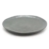 Plato Coupe Tijuana Redondo de Ceramica de 11 Pulgadas MASTER CHEF AZ82-1 2