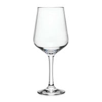 Copa para Vino Rojo de Policarbonato de 540 Mililitros MASTER CHEF X1001-540