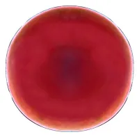 9899633