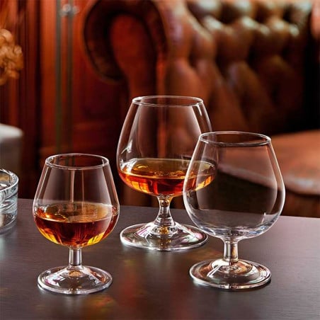 Copa de Degustacion de Brandy de 250 Mililitros ARCOROC 62661
