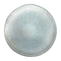Plato Austin Redondo Coupe 11.5 Pulgadas Color Gris/ Verde MASTER CHEF AZ15-1 2