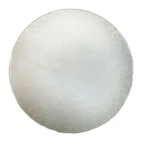 Plato Chicago Coupe de Ceramica 9 Pulgadas Color Gris MASTER CHEF AZ14-2 2