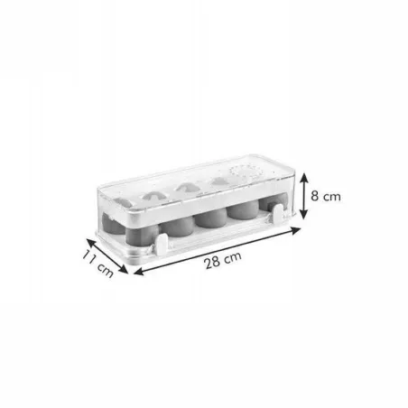 Contenedor Plastico de 10 Cavidades para Almacenar Huevos en el Refrigerador TESCOMA 891834