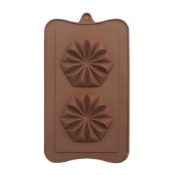 Molde de Silicon de Flores con 2 Cavidades TIPS ZNP-087