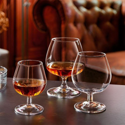 Copa de Degustacion de Brandy de 250 Mililitros ARCOROC 62661 2